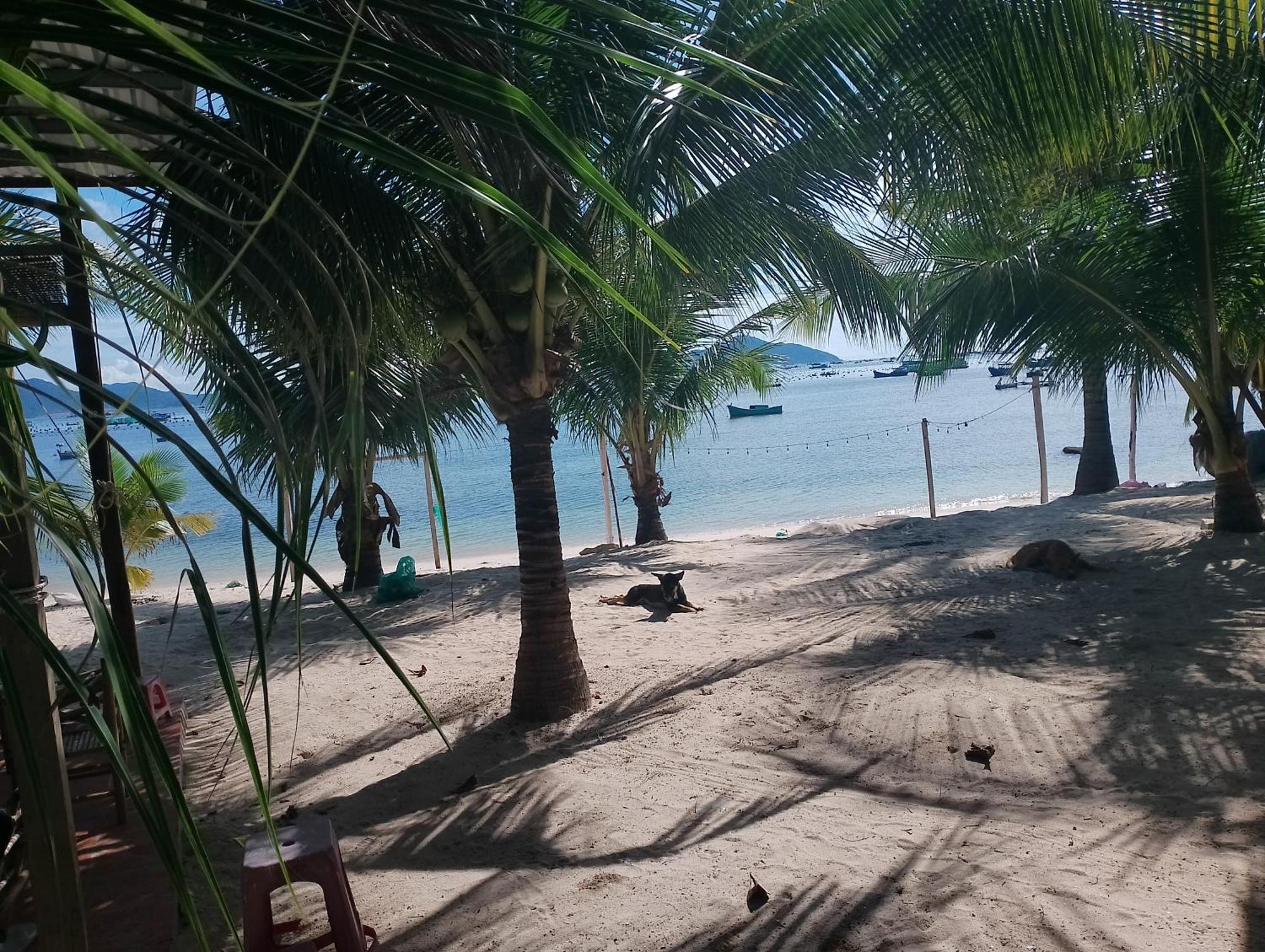 The Sunrise Anh Tu Hotel Cam Ranh Bilik gambar